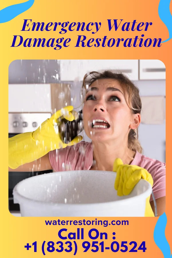 Emergency Water Damage Restoration in Tombstone, AZ