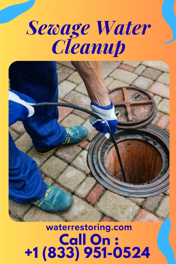 Sewage Water Cleanup in Tombstone, AZ